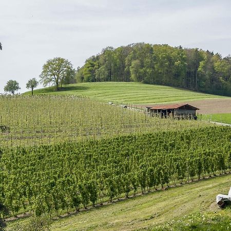 Ferienwohnung Lang Kressbronn am Bodensee Exterior foto