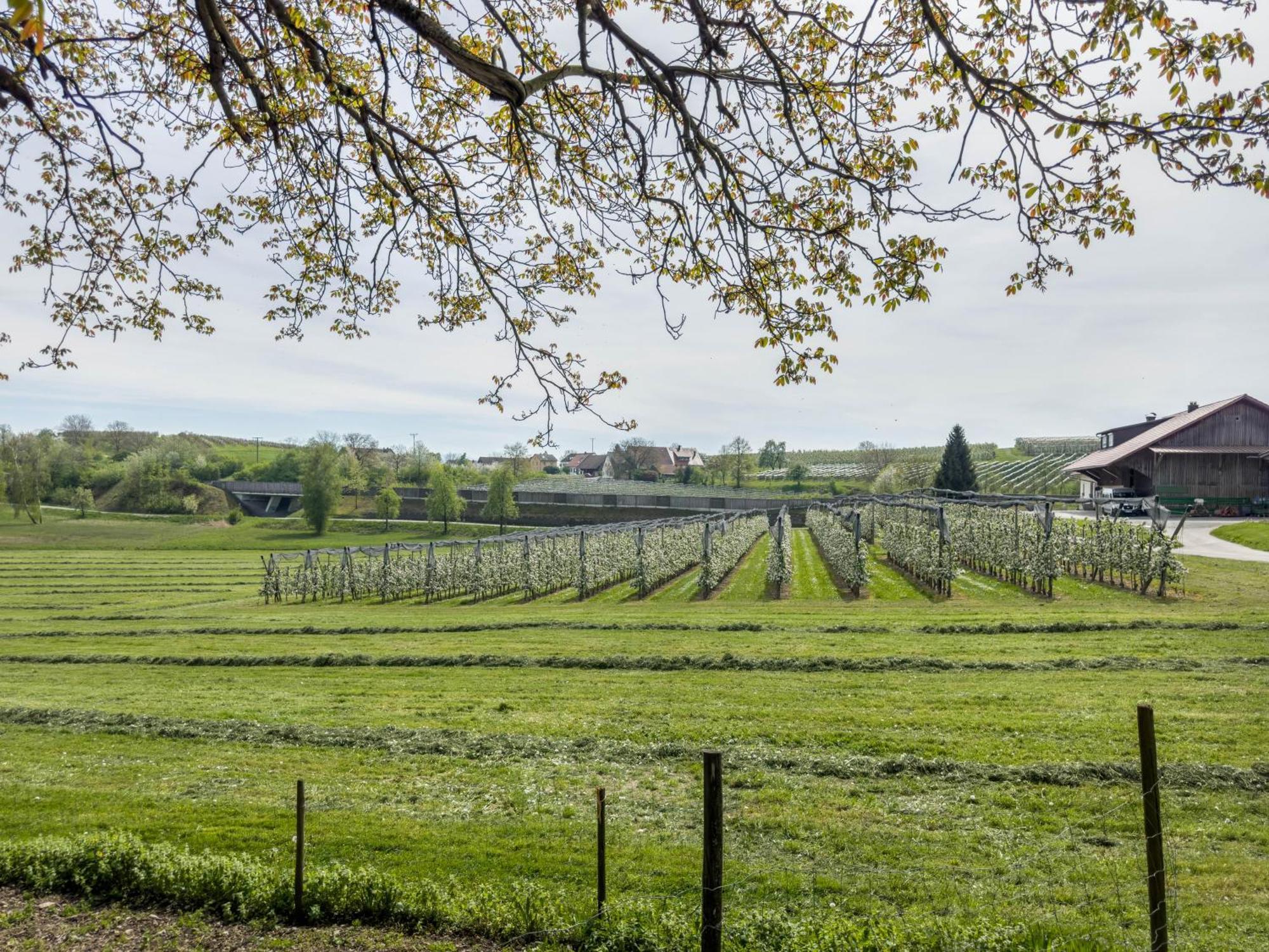 Ferienwohnung Lang Kressbronn am Bodensee Exterior foto